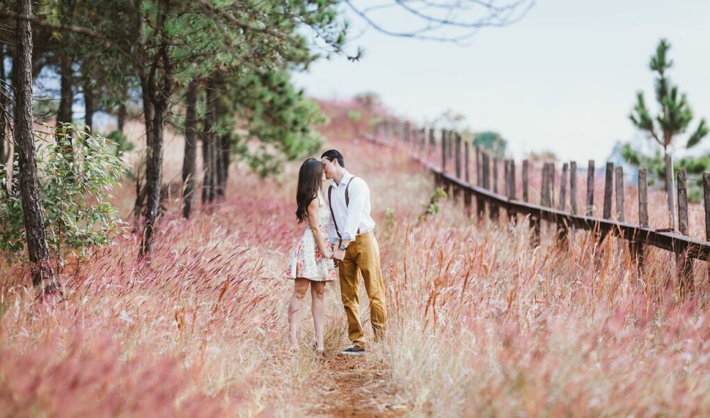 couple, kiss, field