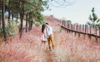 couple, kiss, field